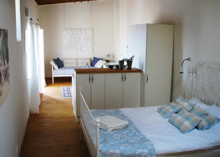 Dolphin Guest House And Studios